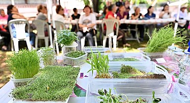 Antalya Muratpaşa'da minyatür bahçeler şekillendi