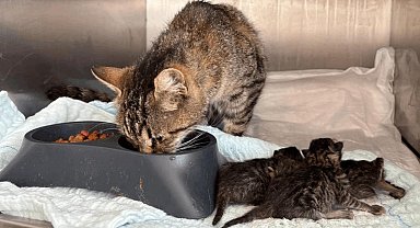 Balıkesir Büyükşehir'in hızlı müdahalesi hayat kurtardı