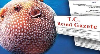 Balon Balığı avcılığı desteği artırıldı