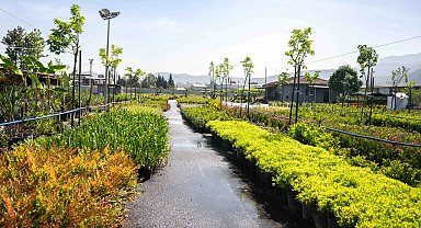 Bornova fidanlığı yeni görünümüyle göz kamaştırıyor