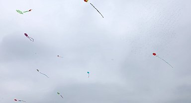 Bursa Nilüfer'de gökyüzü uçurtmalarla renklendi