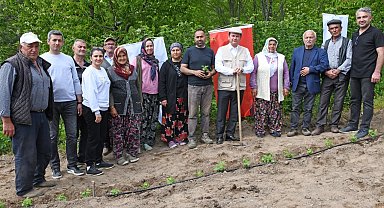 Bursa Osmangazi Belediyesi'nden tarımsal üretim adımı