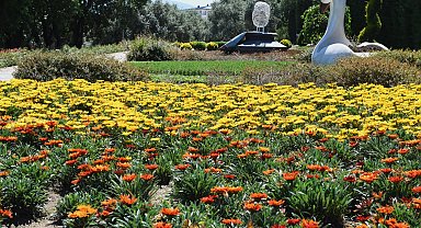 Bursa Osmangazi'nin her yeri çiçek kokuyor