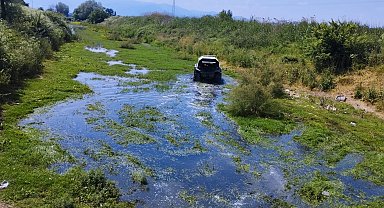Bursa'da sinekle mücadele tüm hızıyla sürüyor