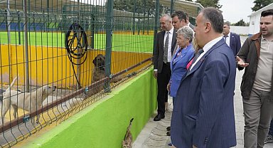 CHP'li Yontar'dan Çorlu'da 'Hayvan Bakım Evi'ne ziyaret