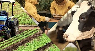 Çiftçiye 3,3 milyar TL'lik destek ödemeleri hesaplarda