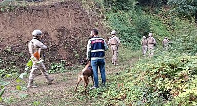 Düzce Jandarma'dan güvenlik önlemleri sürüyor