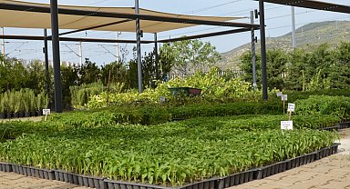Efes Tarlası Yaşam Köyü'nde yerel tohumlarla üretim sürüyor