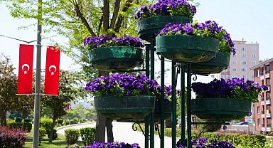 Eskişehir'de refüjler çiçeklerle renklendi