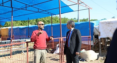 Gemlik Belediyesi Kurban Pazarı’nda Satışlar Başladı