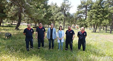 Gürsu'da kurban timi bayram boyunca hazır olacak