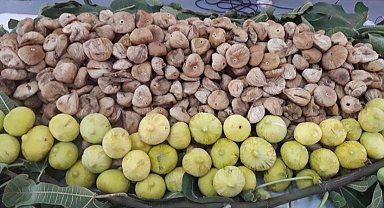 İngilizler kuru üzümün, Amerikalılar kuru kayısının peşinde!