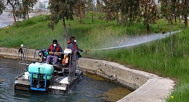 İstanbul'da sivrisinekle mücadelede önlemler arttı