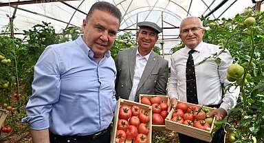 IV. Uluslararası FoodFest Gastronomi Festivali domates hasadı ile başladı