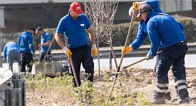 İzmir 'daha yeşil' olacak