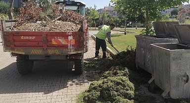 İzmir Güzelbahçe'de yaz temizliği