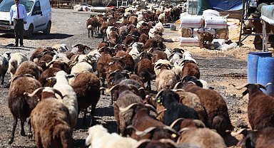İzmir Karabağlar'da Kurban Bayramı öncesi örnek uygulama