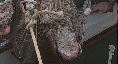 İzmir'de su ürünleri denetimlerinde ceza yağdı