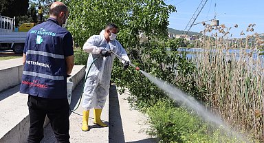 İzmit'te halk sağlığı için yoğun ilaçlama mesaisi