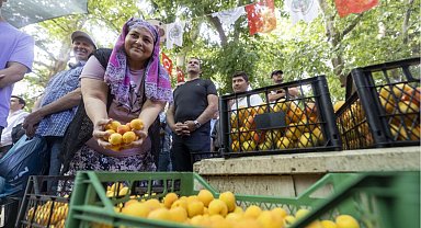 Kayısı Festivali'nde büyük coşku
