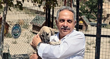 Kayseri Talas Pati Evi can dostlara yuva oluyor