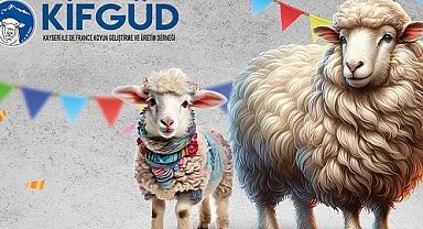 Kayseri Talas'ta France ırkına özel festival