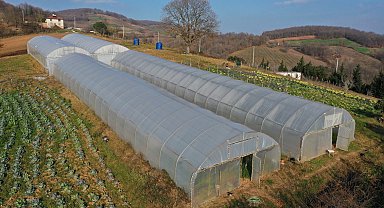 Kocaeli'den yüzde 50 hibeli sera desteği