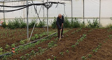 Kocaeli'nde üreticilere yüzde 50 hibeli modern sera desteği