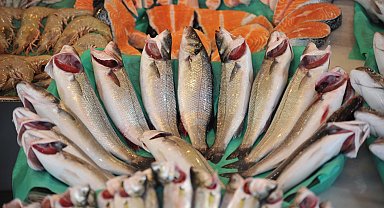 Levrek, çipura ve Türk somonu ihracatı sırtladı