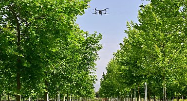 Manisa'da haşereyle mücadeleye aralıksız devam ediyor