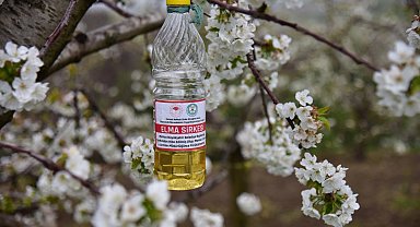 Manisa'da sirke sineğine karşı biyoteknik tuzak