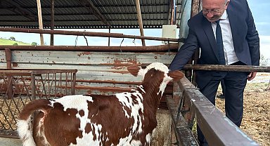 Manisa'da 'tek dam projesi' Selendi'de tanıtıldı