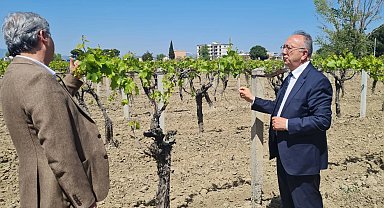 Manisa'da üreticilere genişletilmiş hibe desteği