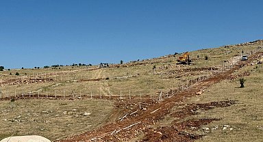 Mardin Artuklu Belediyesi'nden hayvan dostu projeler