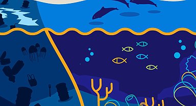 Marmara Denizi Günü bu yıl 3 Haziran'da 'ekosistem restorasyonu' temasıyla kutlanacak