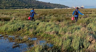 Muğla Büyükşehir'den Güllük'te 60 hektarda ilaçlama