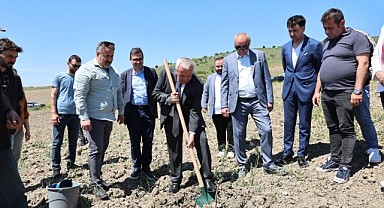Nilüfer Belediyesi Konaklı’ya 800 zeytin fidanı dikti