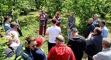 Sakarya'da çiftçilere feromon tuzağı ulaştırıyor
