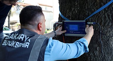Sakarya'dan doğaya 'şifa' gibi adım... Yeşil cennetin tomografisi çekilecek