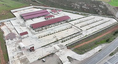 Sivas'ta kurban pazarı Kovalı'ya kuruluyor