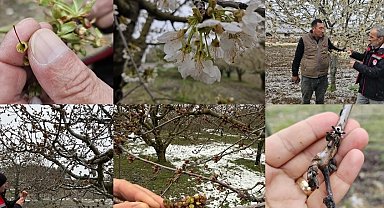 TBMM Zirai Don Araştırma Komisyonu üye seçimi 'Resmi'leşti