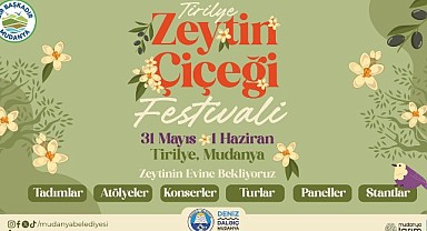 Trilye'de zeytin çiçeği festivali coşkusu