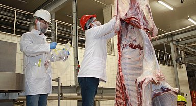 TSE'den Kocaeli mezbahasına tam not