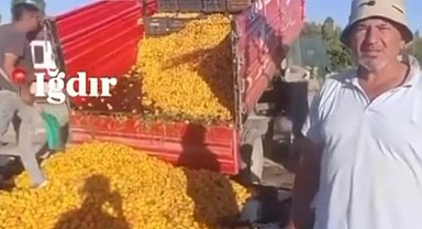 1 TL'lik kayısı paylaşımı 1,4 milyon TL cezaya patladı! Yanıltıcı paylaşıma milyon liralık ceza!