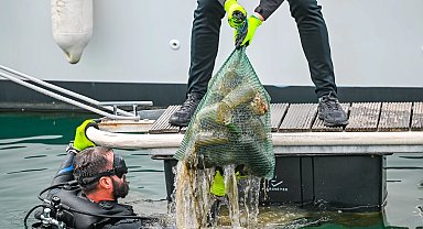 5 ton çöp toplandı, güneş enerjisi kullanımı arttı