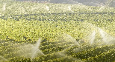 7 bin 160 tarımsal projeye 10,2 milyar TL'lik hibe