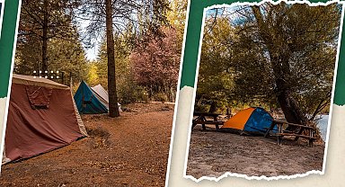 Aile bağları doğada güçleniyor