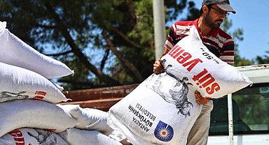 Antalya'da yem desteğiyle süt üretimine güçlü katkı