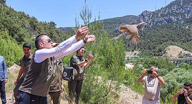 Bilecik'te 300 kınalı keklik doğaya salındı
