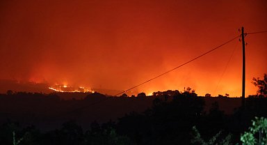 Bilecik'te korkutan orman yangını